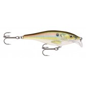 Rapala Scatter Rap Shad SCRS07 (RSL) Live River Shad